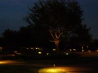 Evening Garden