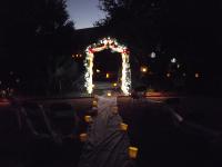 Evening Garden Reception