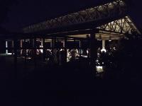 Evening Garden Reception