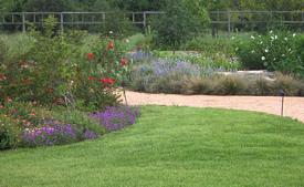 Garden Path with Flowers