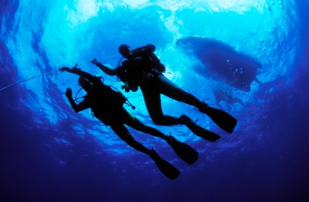 Scuba Diving descent